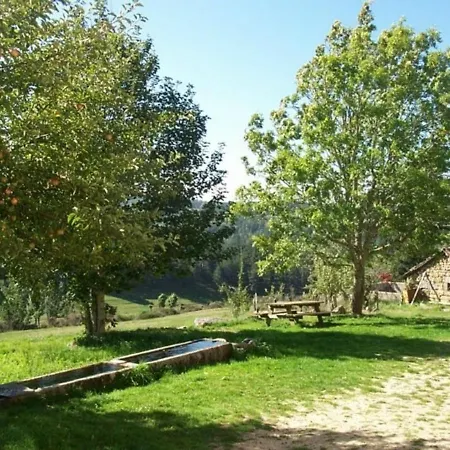 Holiday home Maison De Caractere A Val D'arcomie - 10 Pers., 200 M², Jardin, Cheminee, Proche Saint-flour - Fr-1-742-226 *